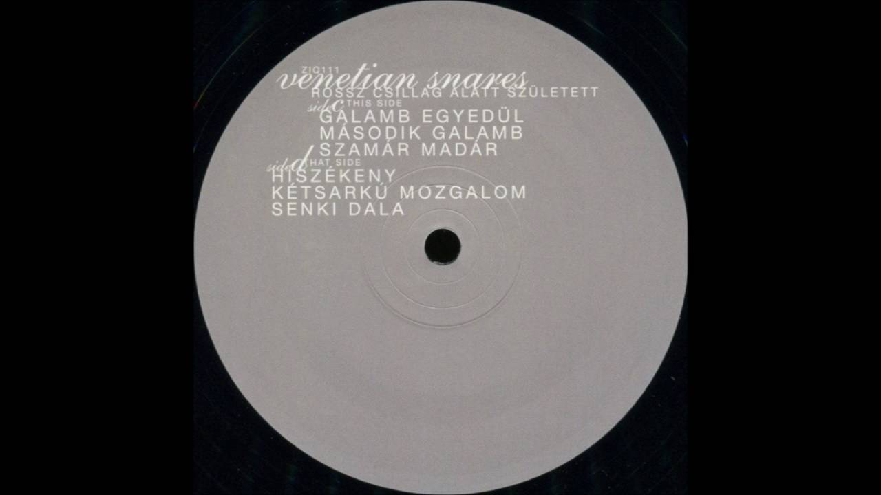 Venetian Snares - Kétsarkú Mozgalom