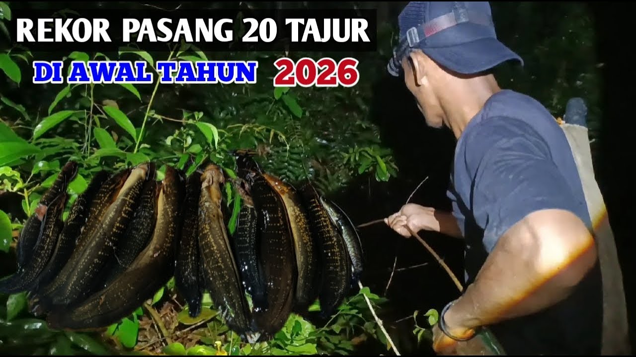 REKOR PASANG 20 TAJUR LELE LEMBAT Di MALAM  HARi HAMPIR DAPET SEMUA #BA-24