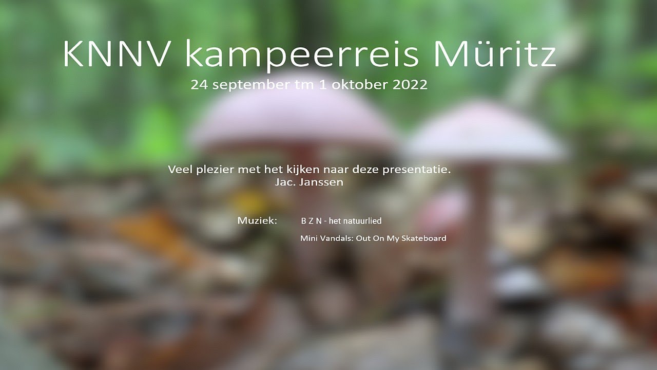 KNNV kampeerreis  Muritz