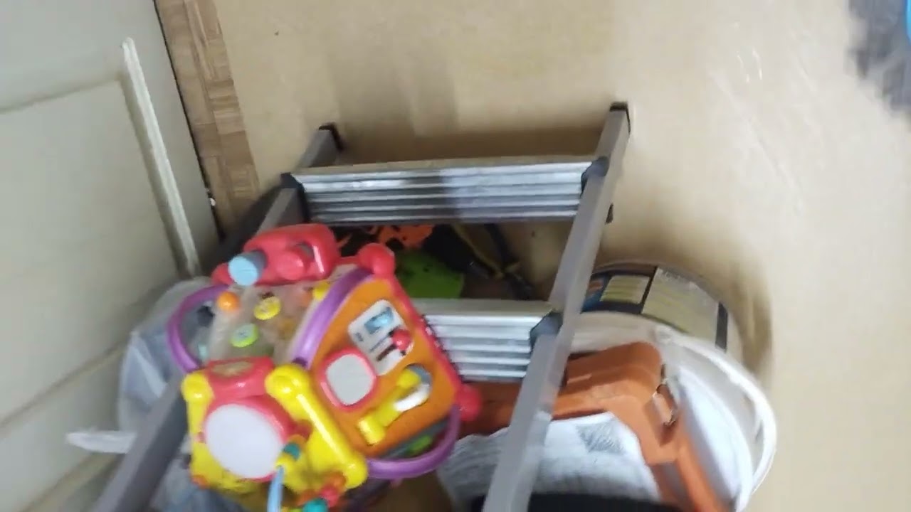 video 20250812 113542