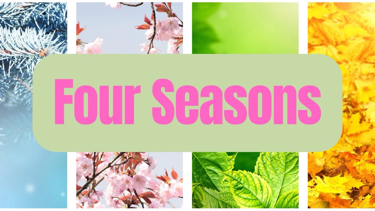 All About the Four Seasons for Kids 🌎 | Spring, Summer, Fall & Winter
