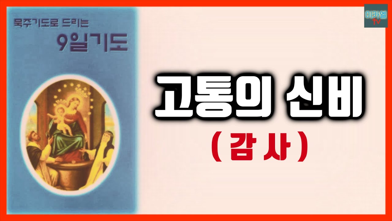 9일기도(감사) 고통의 신비