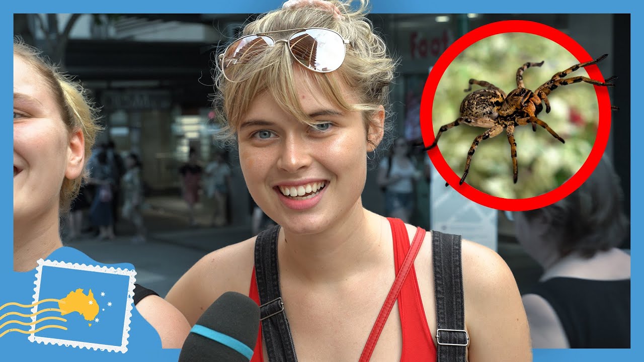 Do Australians Have NO FEAR!?