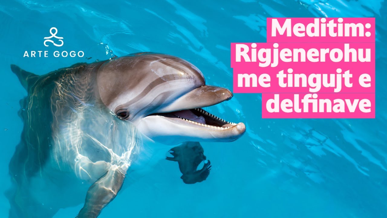Meditim: Rigjenerohu me tingujt e delfinave