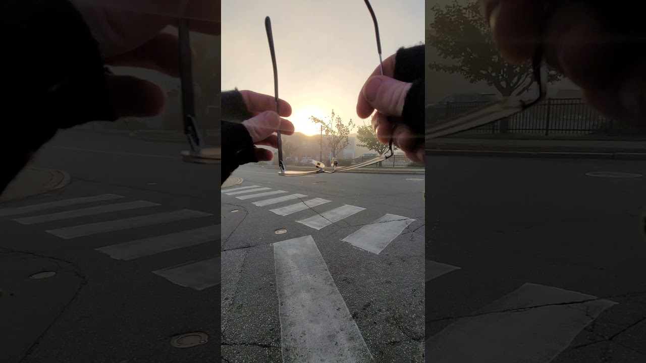 the full and foggy work trip!