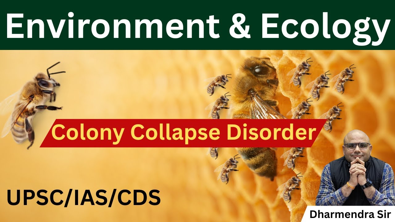 Colony Collapse Disorder #dharmendrasir #ecology #upsc #civilservices #science
