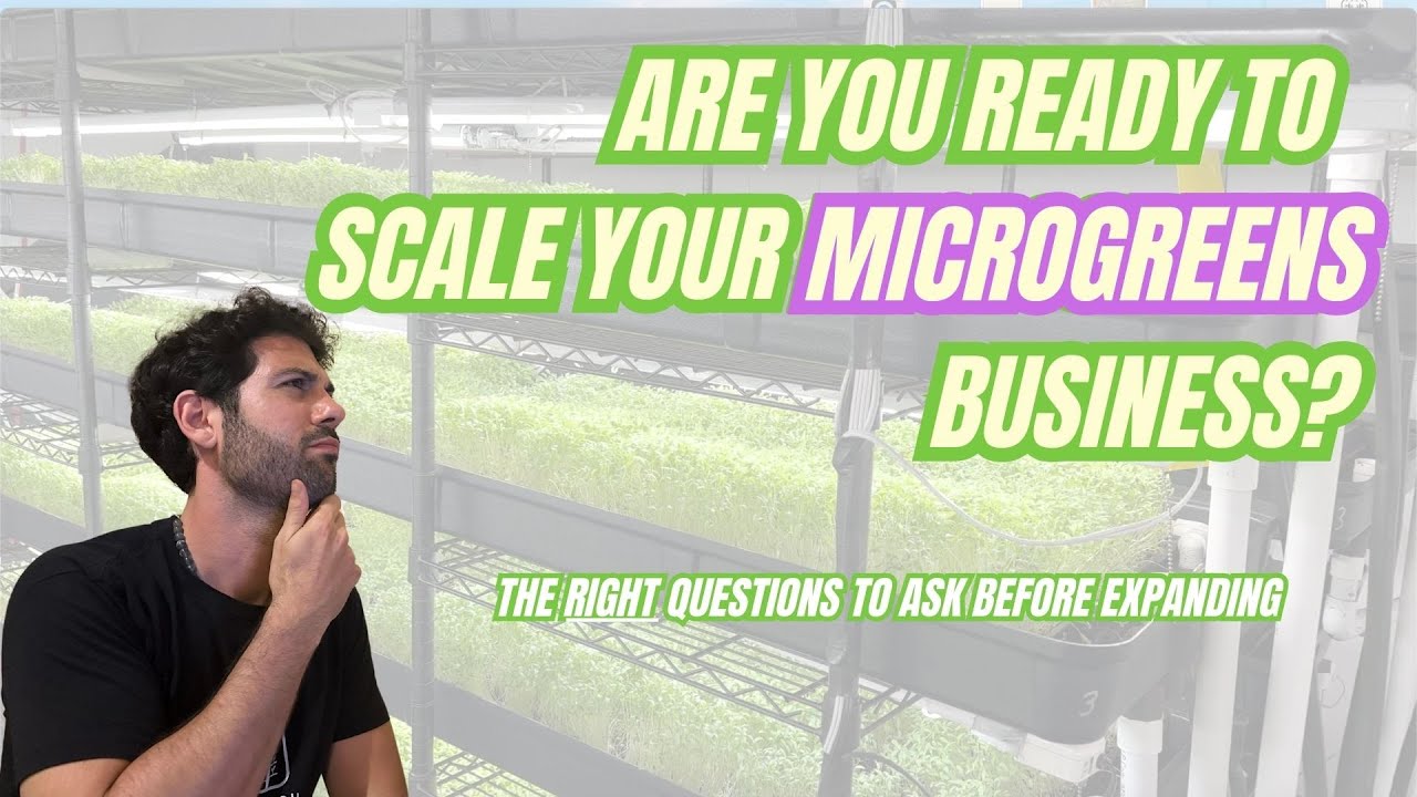 Smart Expansion Strategies for Microgreens Farmers