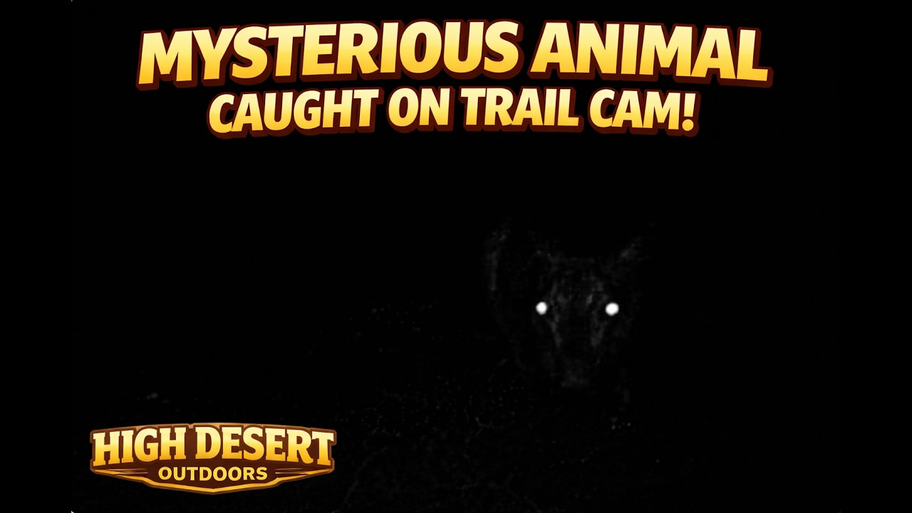CREEPY TRAIL CAMERA #36