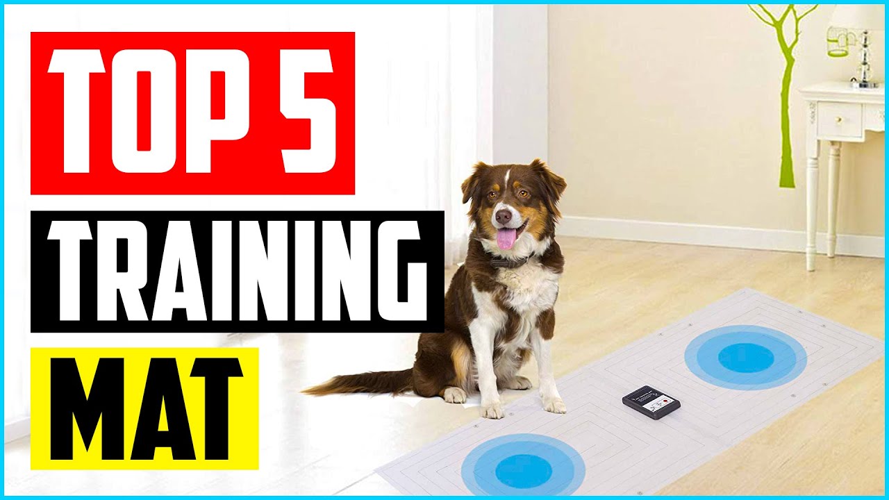 Top 5 Best Indoor Pet Training Mat for Dogs and Cats of 2022 Review