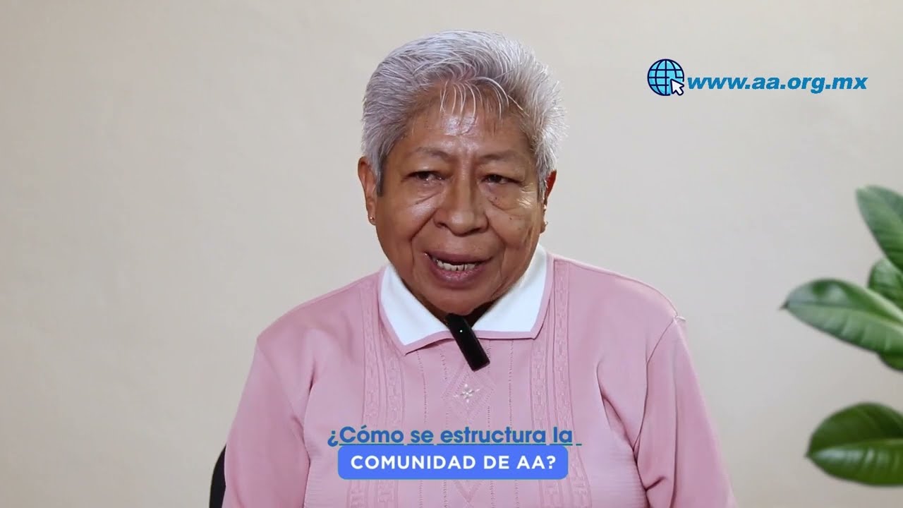 Cómo se estructura AA