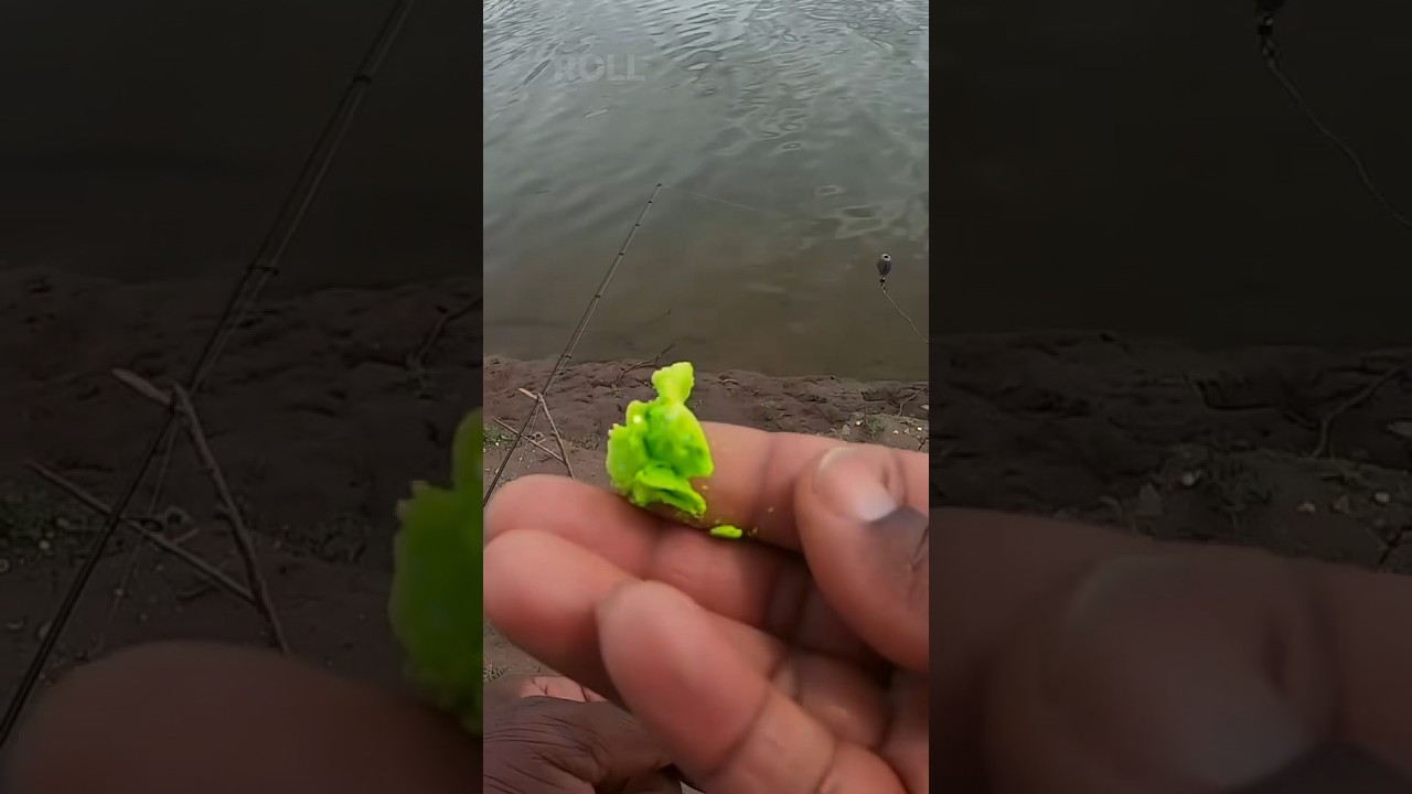 1 of many ways to use power bait to catch Stocked trout