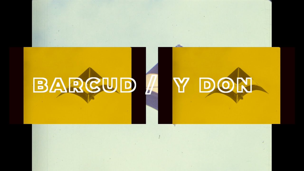 Barcud / Y Don gan Hana Lily & Hywel Pitts