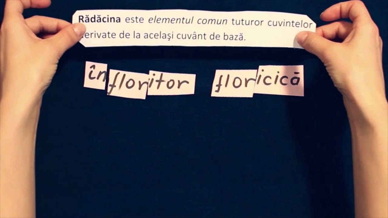 Derivarea - Limba si literatura romana. Evaluarea Nationala. ExamenulTau.ro