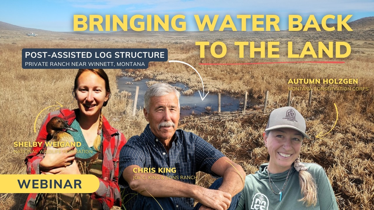 Bringing Water Back to the Land  - Webinar