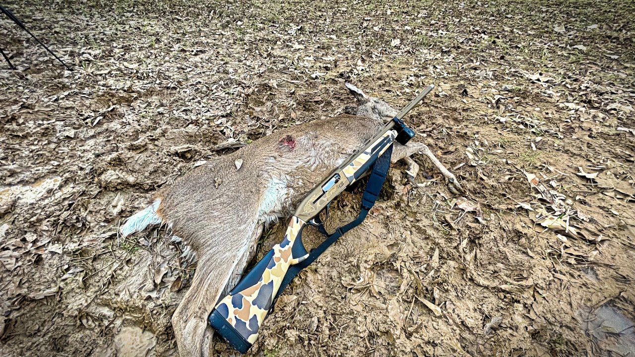 Охота на оленей с Browning Maxus 2