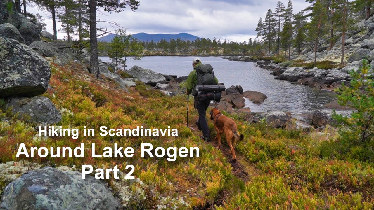 Around Lake Rogen in Scandinavian Gränslandet (Femundsmarka, Rogen) - part 2