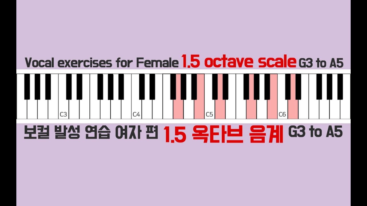 보컬 발성연습 피아노 스케일 1.5 옥타브 음계 여자 편 / vocal warm up exercises female piano scale 1.5 octave