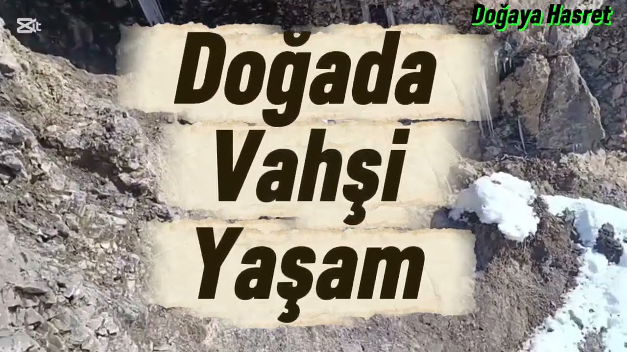 ZORLU KIŞ ŞARTLARI 