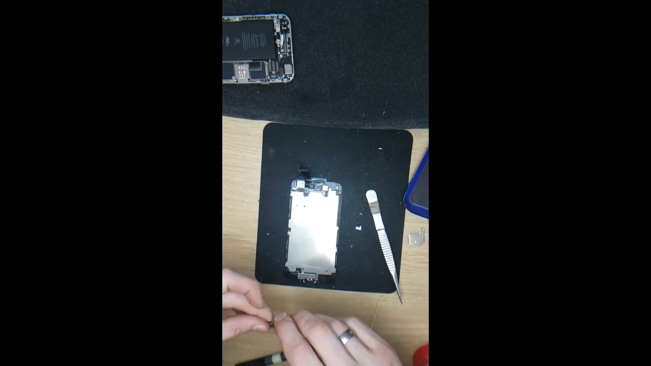 Apple Iphone 6 black - Cleaning and installing LCD screen.
