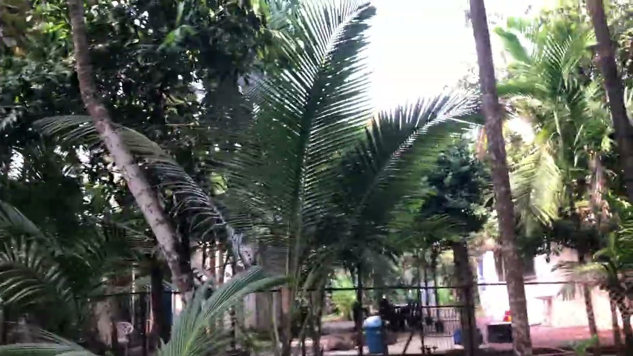 Alibag nagaon farm house plots  ￼ prime location