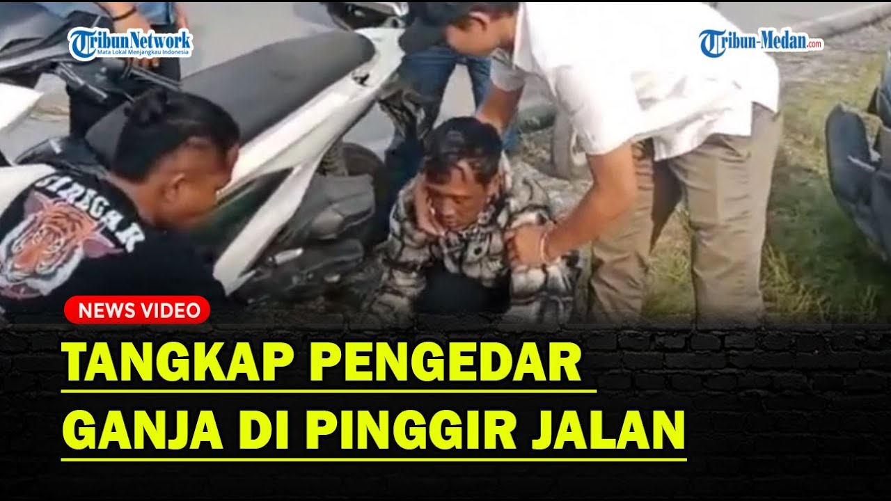 POLRES HUMBAHAS Tangkap Pengedar Ganja di Pinggir Jalan❗