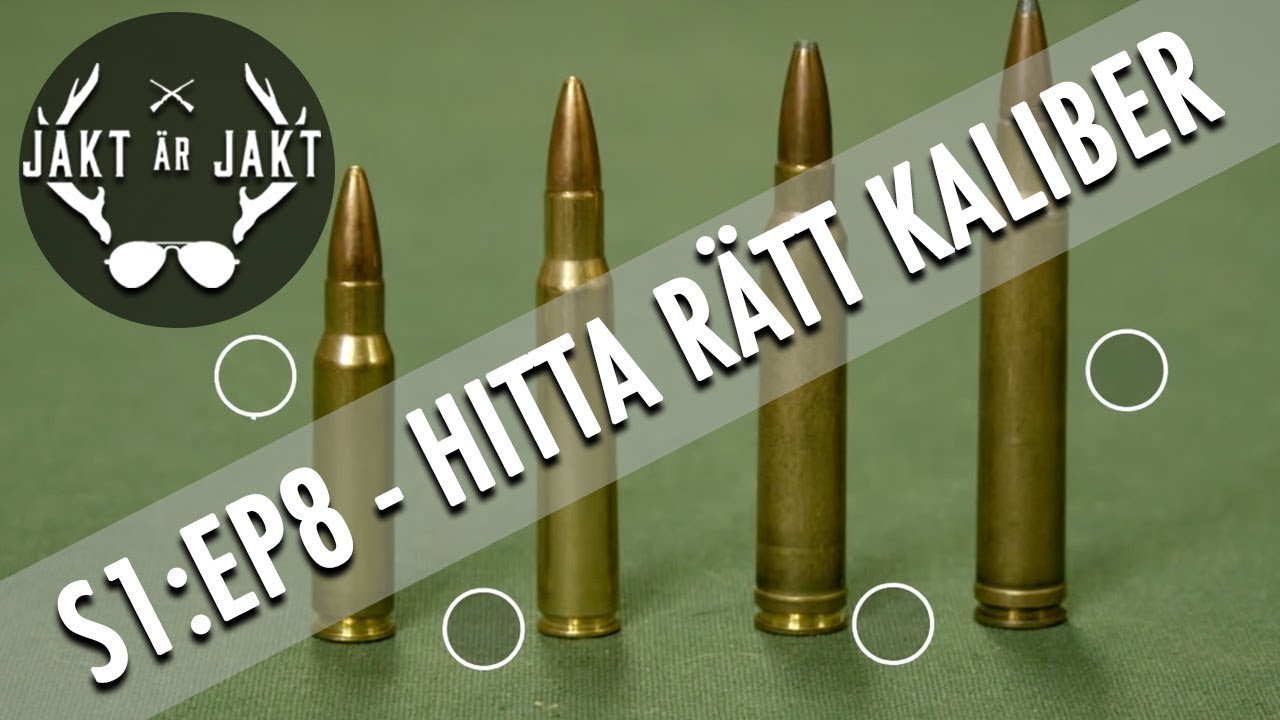 Ammunition - Vilken kaliber och vilken kula ska du v&auml;lja f&ouml;r din jakt
