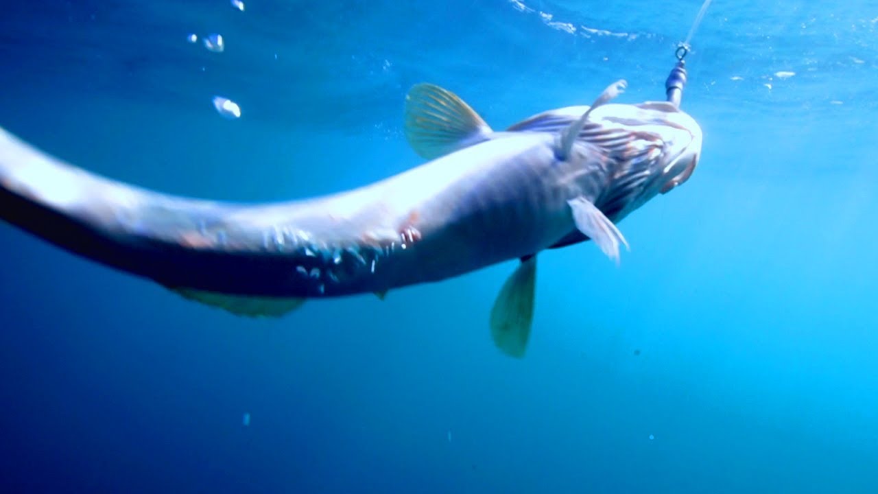 Exhausting Icelandic Cod Fishing | The Big Catch | The Travel Edit
