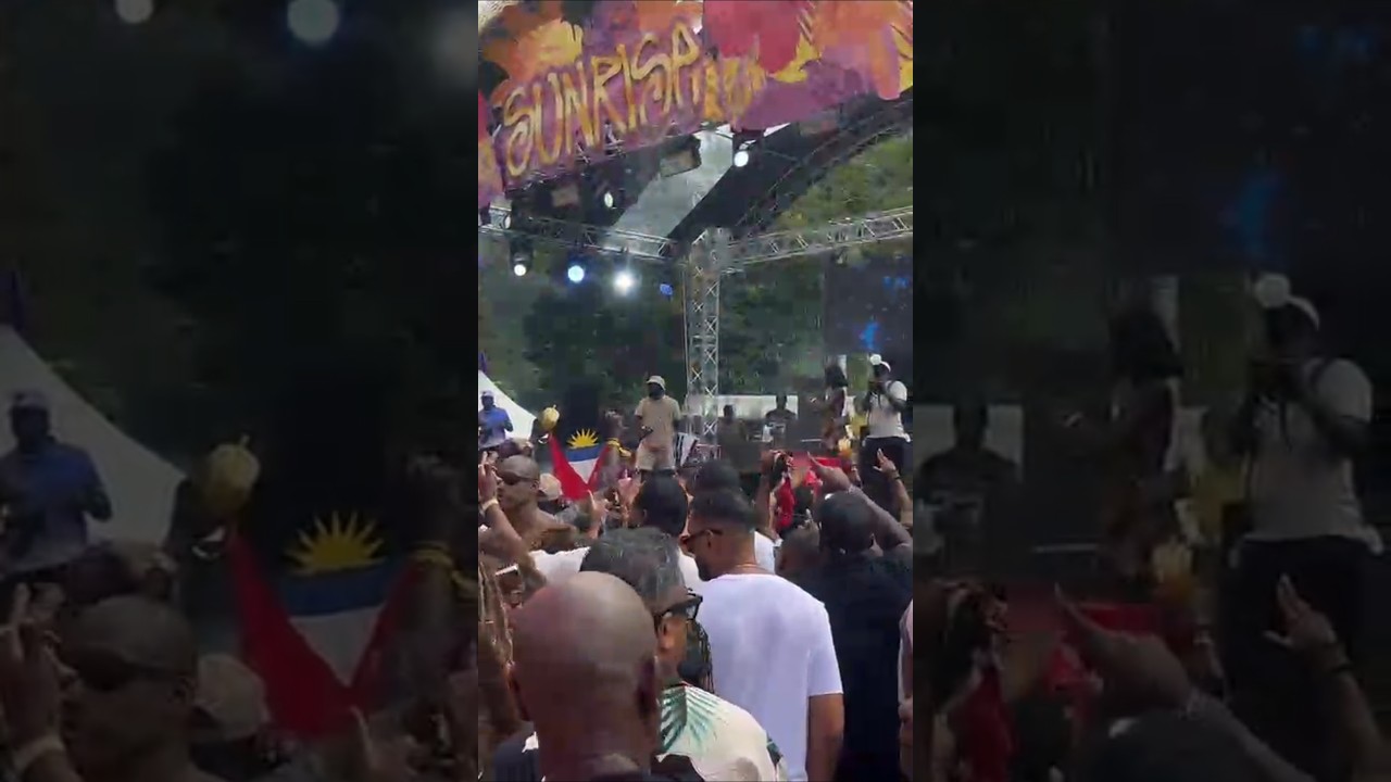 Bunji  Carry It
