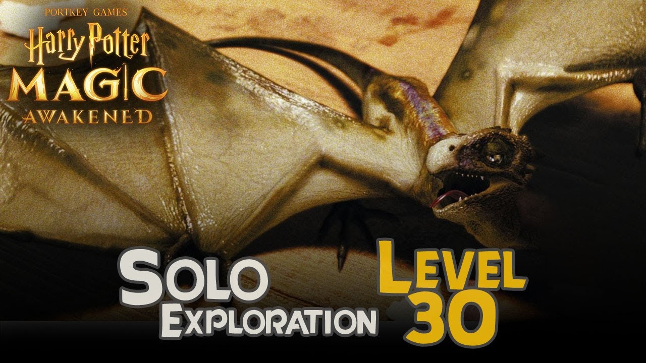 Harry Potter Magic Awakened : SOLO-EXPLO LV30 Guide