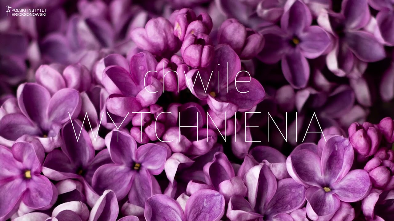 Chwile WYTCHNIENIA: Miseczka światła - Bożenna Wardęszkiewicz