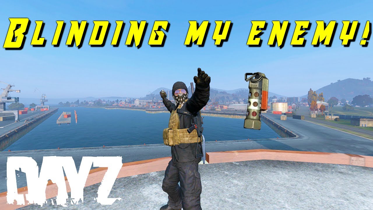 Blinding My Enemy! & Worst Building Breach Ever| PvP Clips #9| DayZ Standalone