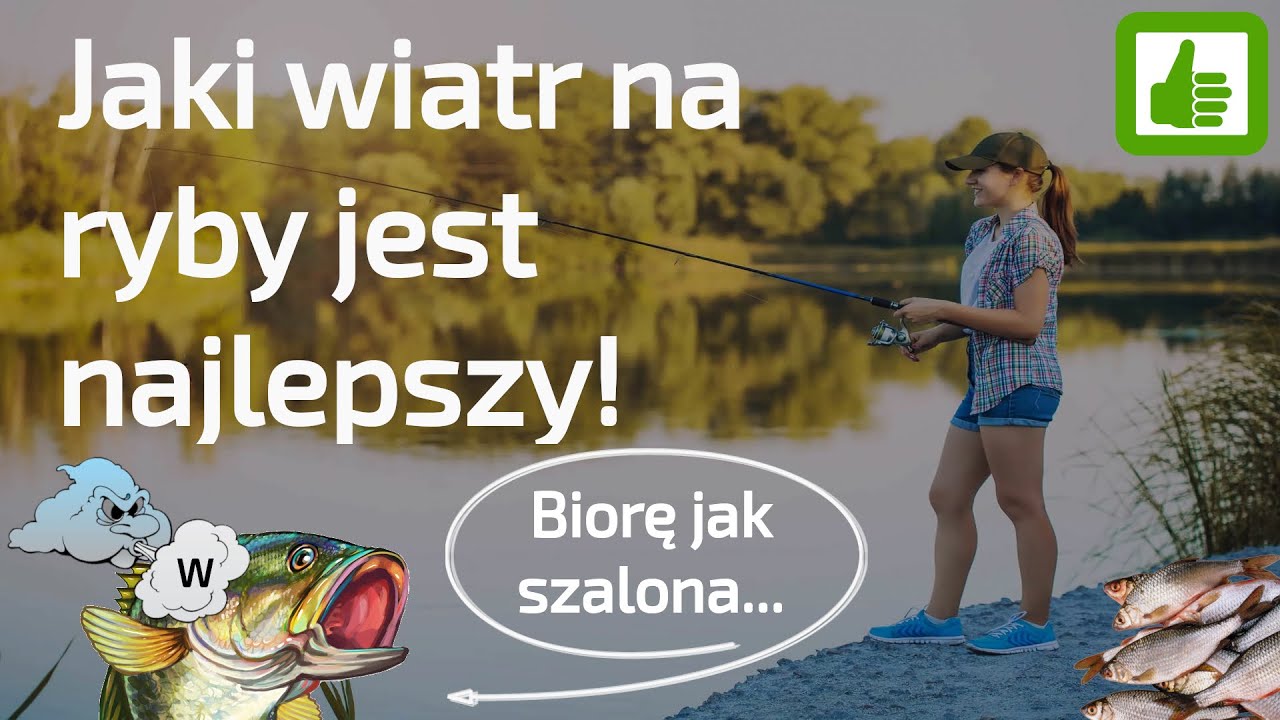 Jaki wiatr na ryby jest najlepszy - dobre brania ryb