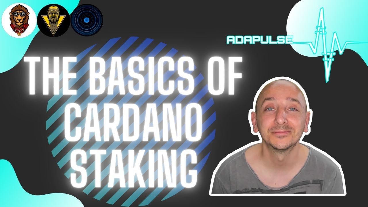 AdaPulse - COMPLETE guide to Cardano Staking and How to Stake.