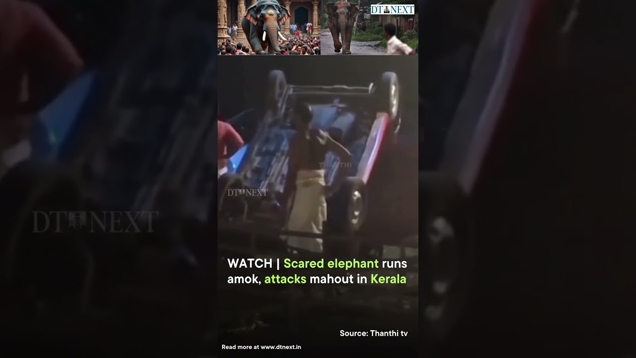 WATCH | Scared elephant runs amok, attacks mahout in Kerala