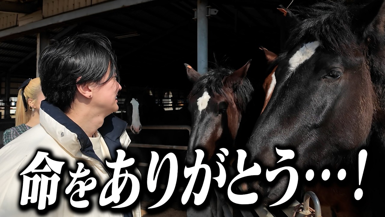 美食の国・熊本で一番美味い店を紹介します