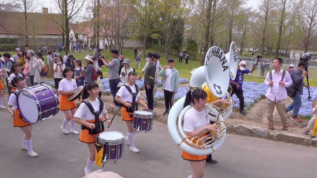 京都橘S.H.S. BAND ブルーメンパレード2019【AM】