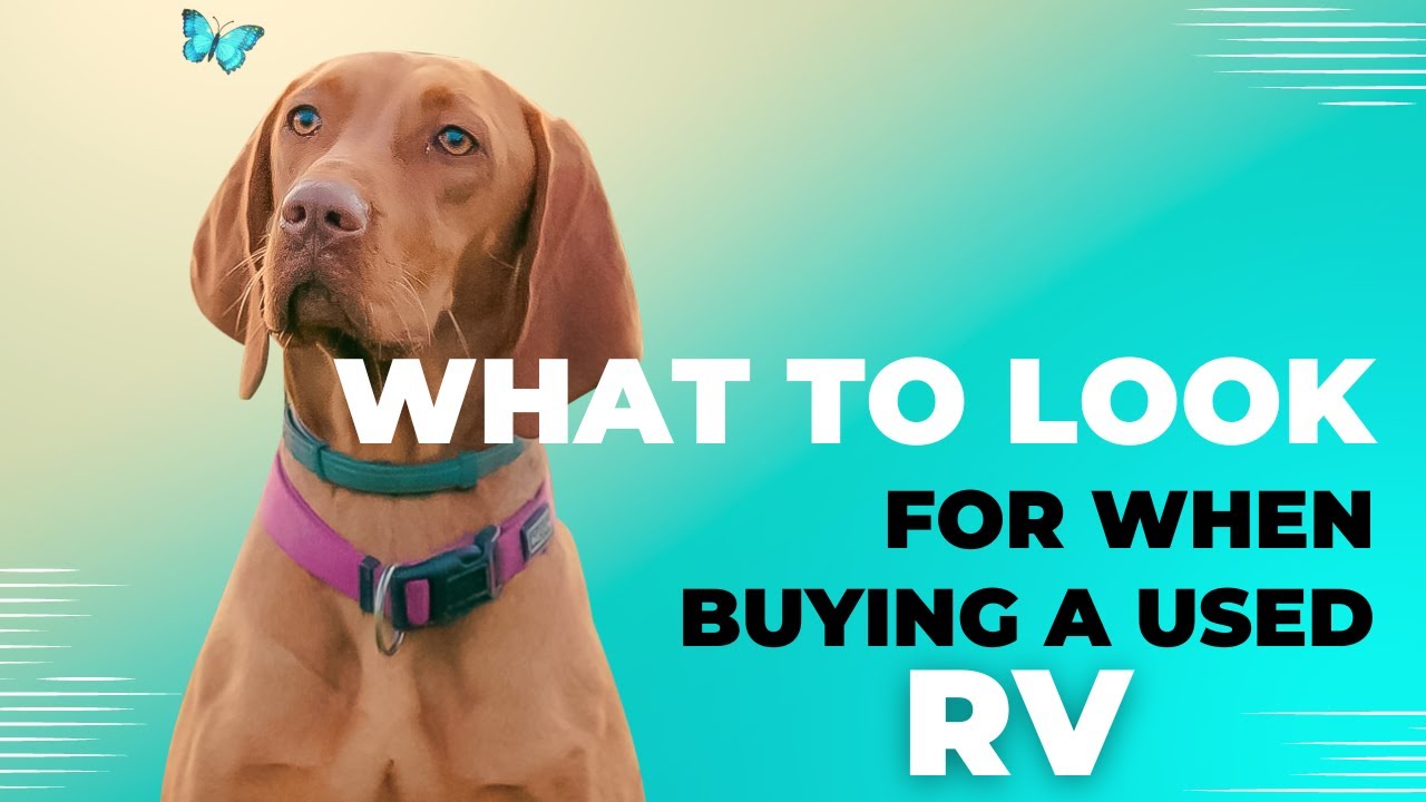 Expert Tips: What to Look for When Buying a Used RV | Your Ultimate Guide