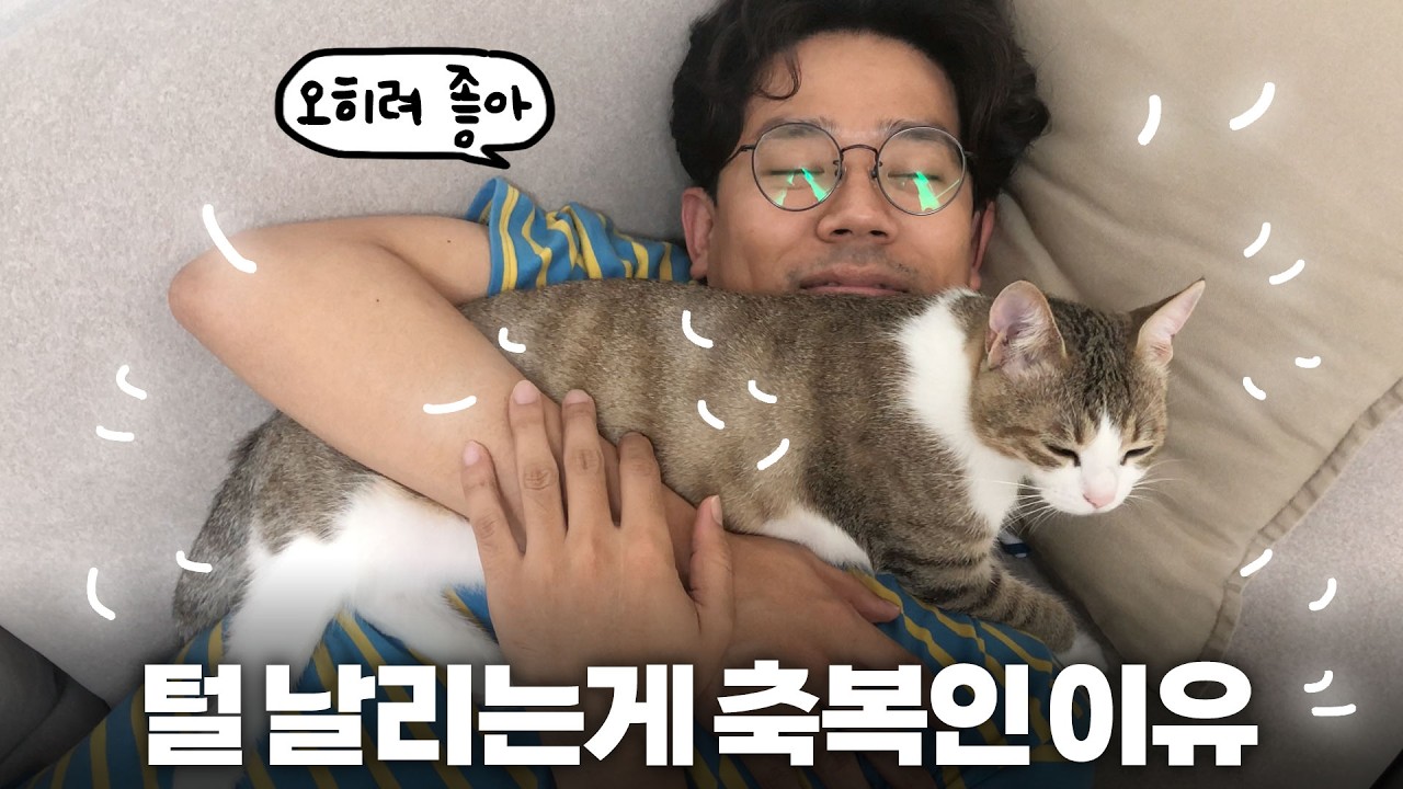 고양이 털 관리, 고양이에겐 고문일지 모릅니다