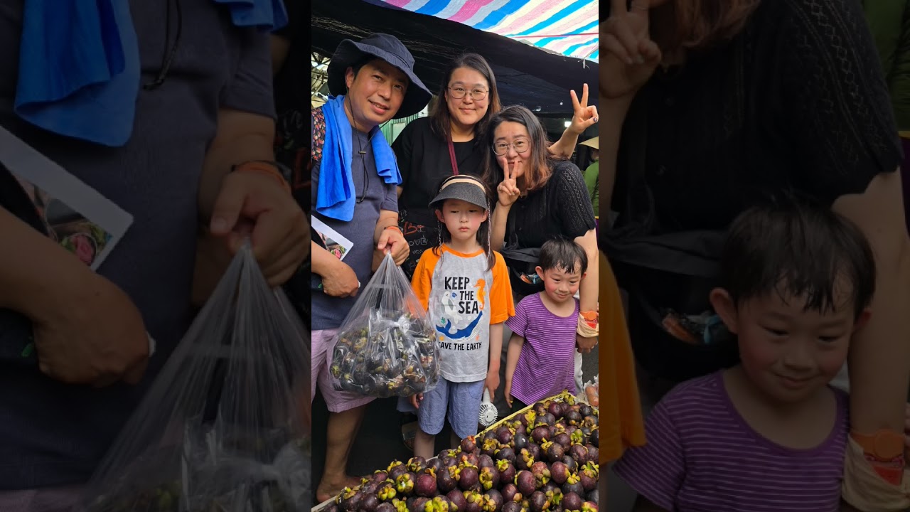 AMAZING TOURS in VIETNAM #zazentravel #luxurytravel #shorts
