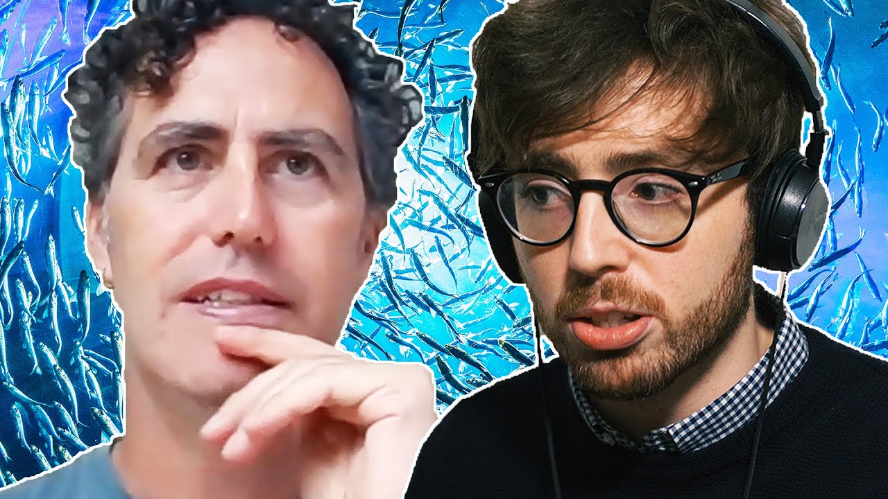 The Fascinating Truth About Fish | Professor Culum Brown