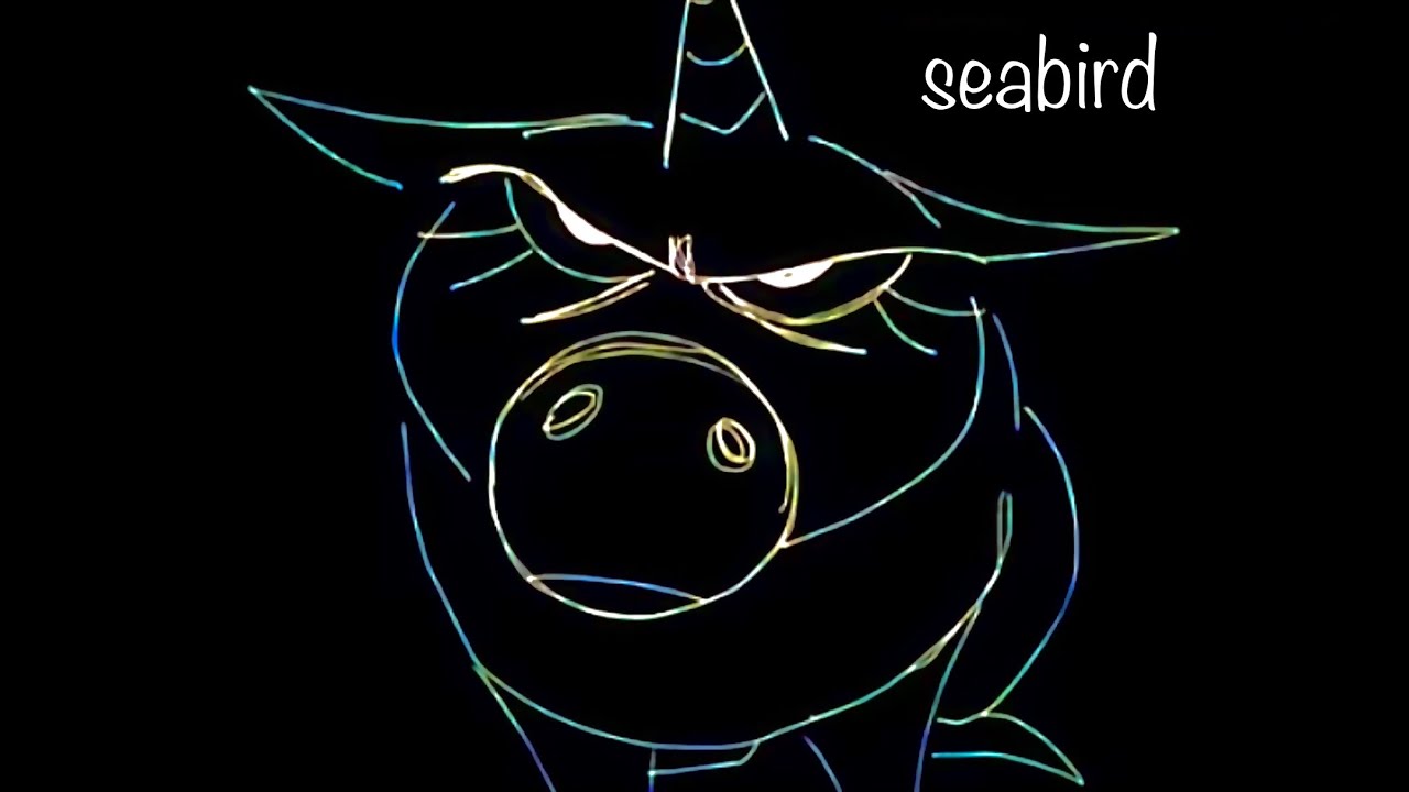 seabird
