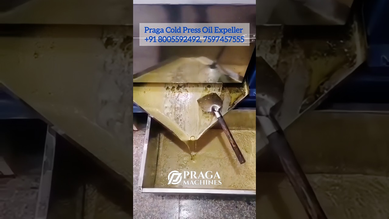 PRAGA Multi-Seed Oil Extraction Machine 💯 | Performance. Purity. Power. | Cold Press Oil Expeller