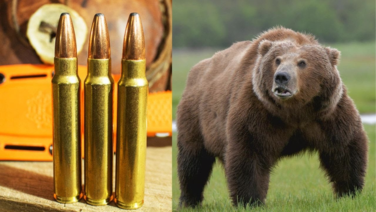 375 Ruger: Best Alaskan Cartridge?