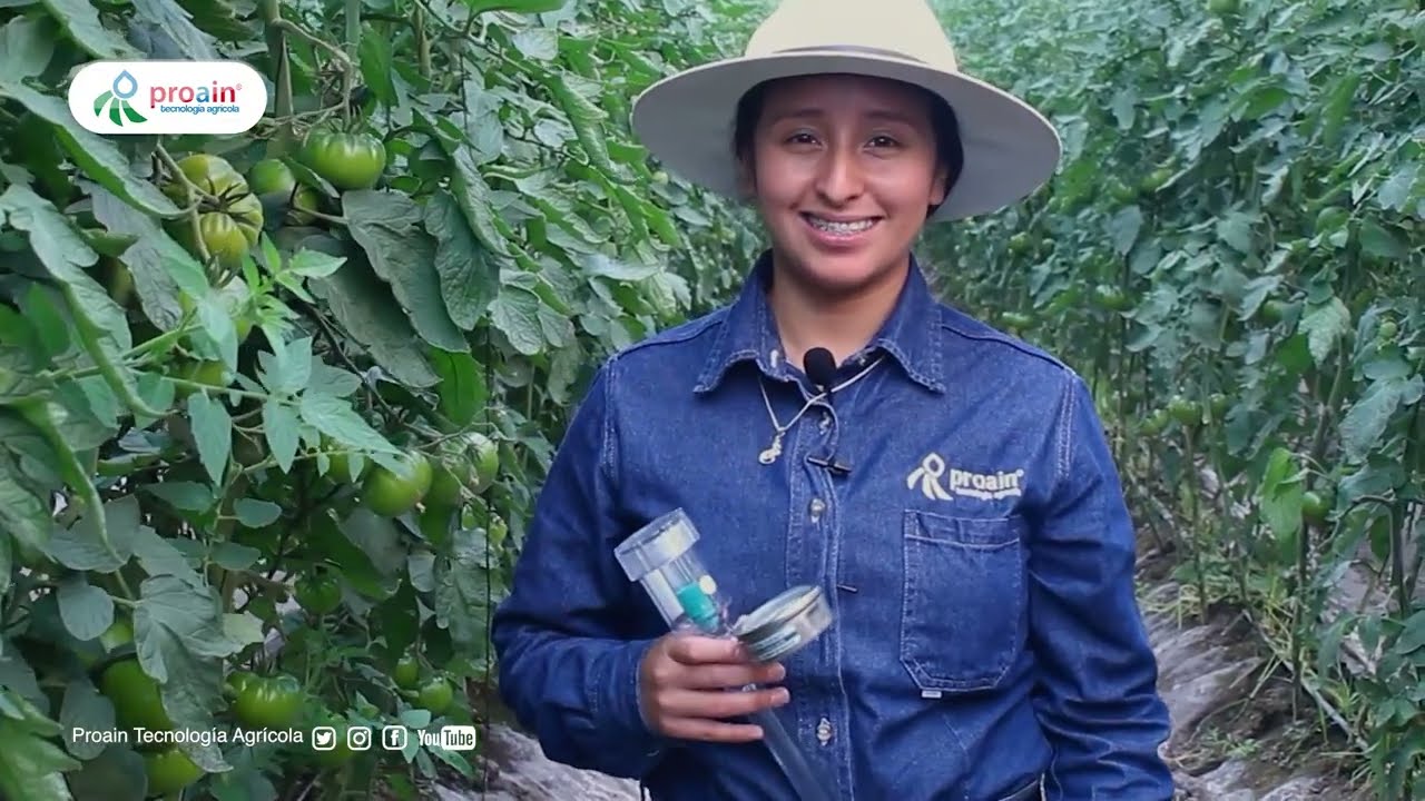 Instalación de los tensiómetros Irrometer |Proain