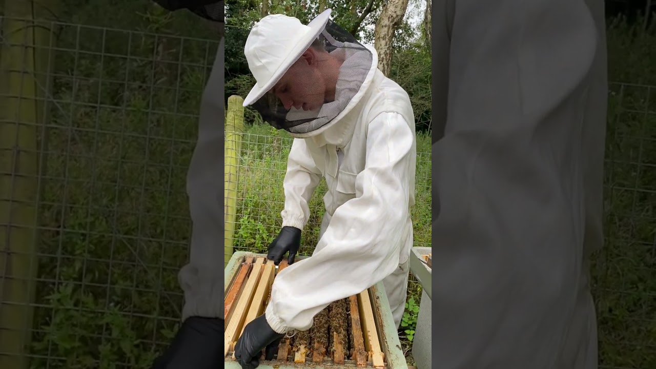 Showing My Hives