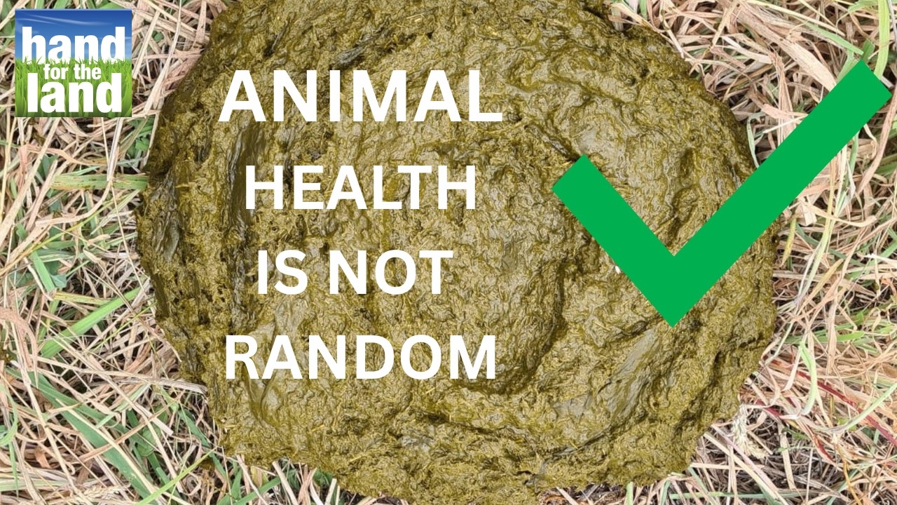 Animal Health Is Not Random