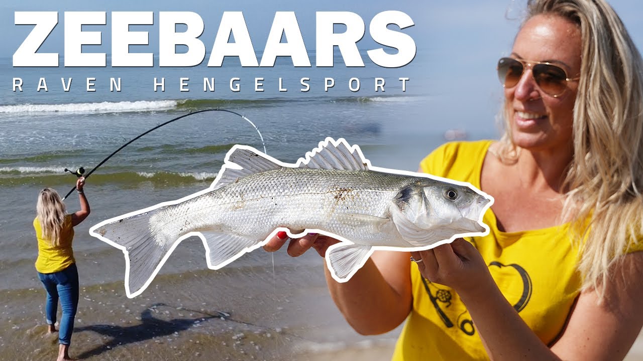ZEEVISSEN - ZEEBAARS en BOT vangen met Nathalie en de Strandprutsers!