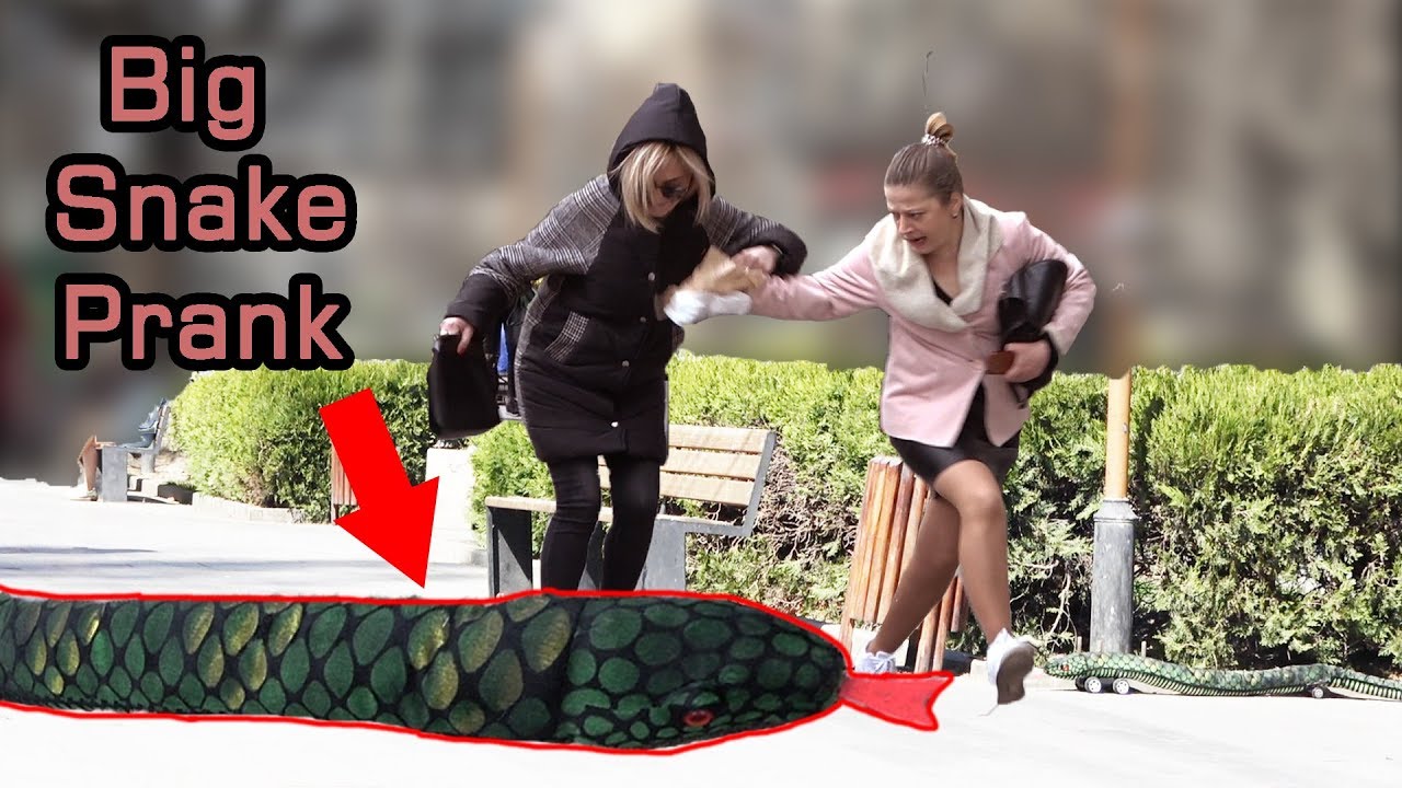 Big Snake Scare Prank!  2019 - AWESOME REACTIONS - Best of Just For Laughs