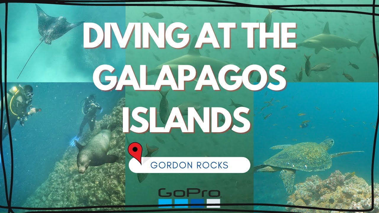 DIVING AT THE GALAPAGOS ISLANDS (GORDON ROCKS) // GOPRO // (2022)