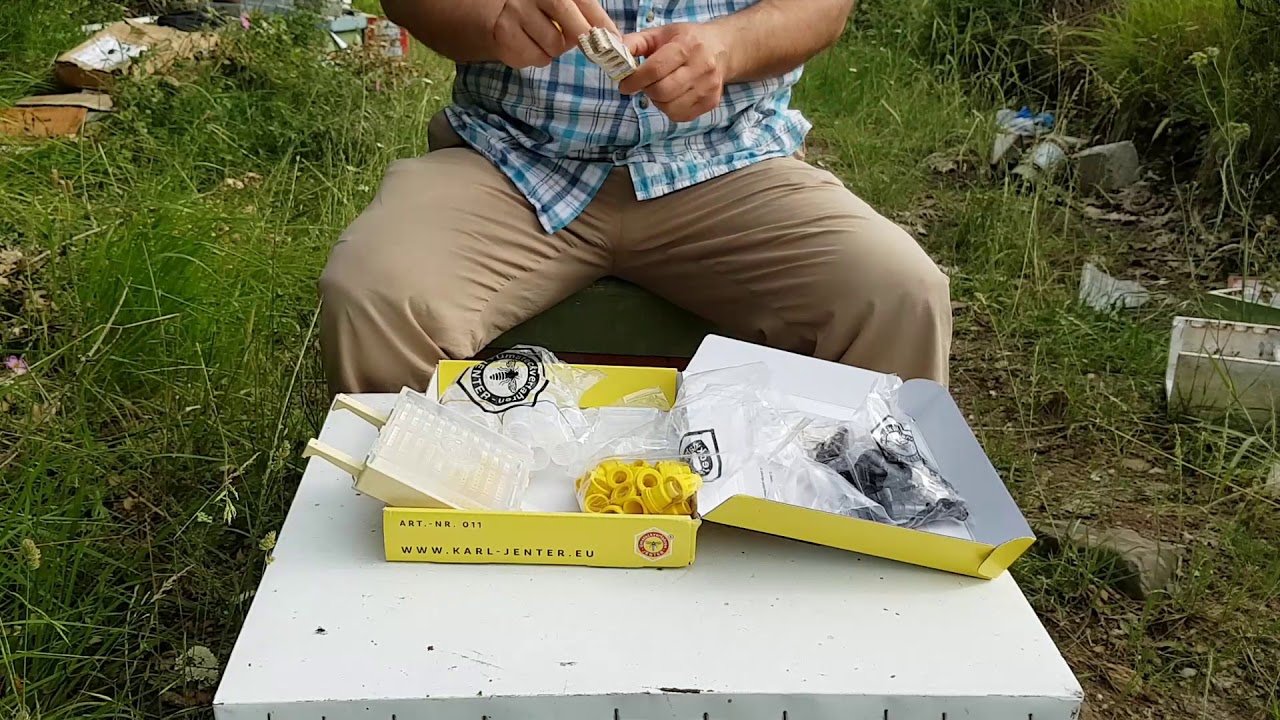 Karl Janter Tanıtımı